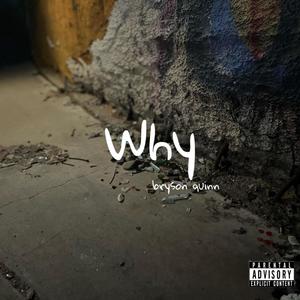Why (Explicit)