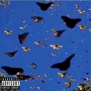 Butterflies in my stomach (Explicit)