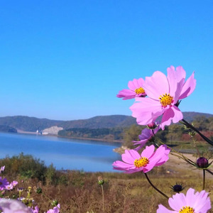 走进叶赫 (独白版伴奏)