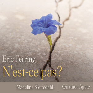 La bonne chanson, Op. 61 - La bonne chanson, Op. 61: VIII. N'est-ce pas?