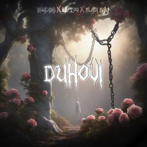 Duhovi (feat. Lil Zoo & mladi mali) [Explicit]