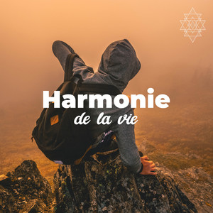 Harmonie de la vie - Relaxation et détente, Massage, Médiation et yoga