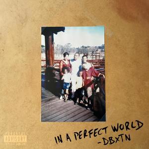 IN A PERFECT WORLD (Explicit)