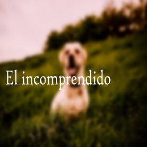 El Incomprendido