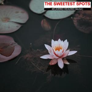 Study To Learn(Slow Piano In G Sharp Minor)