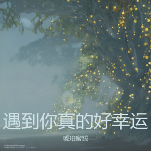 武侍之魂封面