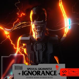 IGNORANCE