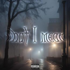 what I mean (feat. Tomio) (Explicit)