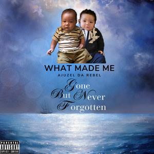 What Made Me (Explicit)