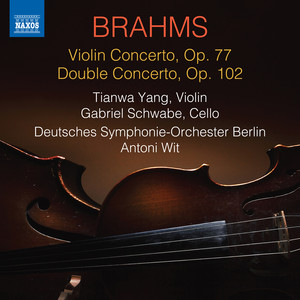 Violin Concerto in D Major, Op. 77 - II. Adagio