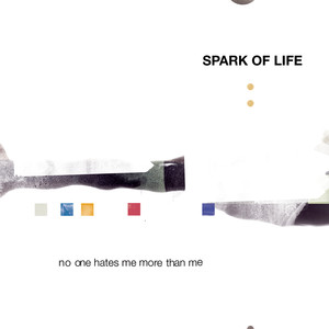 NO ONE HATES ME MORE THAN ME