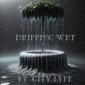 Dripping Wet (feat. City Lyfe) (Radio Edit)