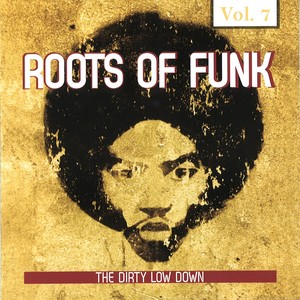 Roots of Funk, Vol. 7