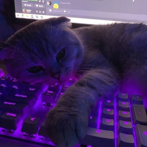 Начало (Explicit)