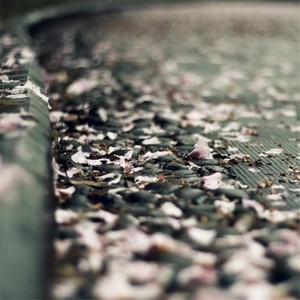 落花雨 (女生电音版)