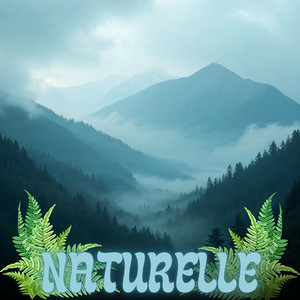 Harmony Clarity Sleep Mindfulness