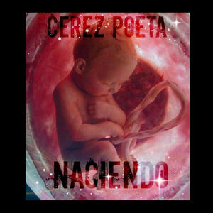 QUIEN PIERDE (Explicit)