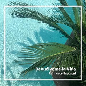 Devuélveme la Vida(feat. Shova)