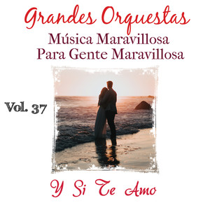 Grandes Orquestas Musica Maravillosa para Gente Maravillosa (y Si Te Amo) (Vol. 37)