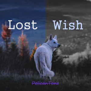 Lost Wish