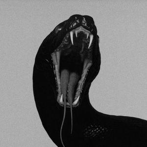 LOOK EASY (Explicit)