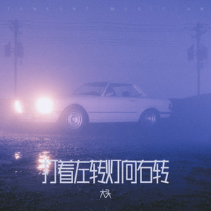 打着左转灯向右转-大头