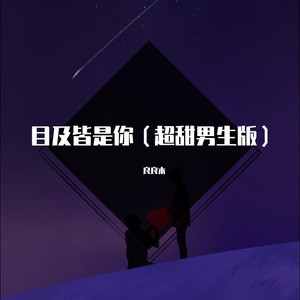 目及皆是你 (超甜男生版)封面