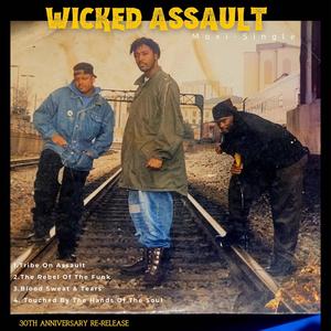 The Rebel Of The Funk (feat. Wicked Assault, ASD, Ben X & Logical Rage)