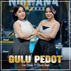 GULU PEDOT (Nirwana Comeback)
