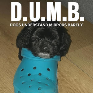 if you have the money... (Explicit)