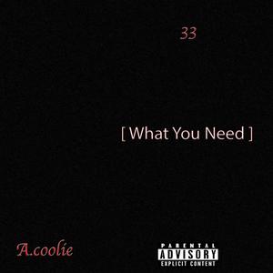 WHATCHU NEED (feat. 33 & Dre Glizzy) [Explicit]