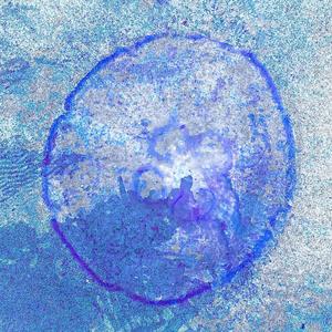 Black Draco (Explicit)