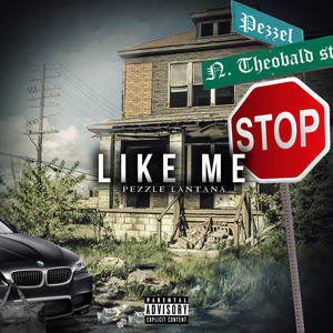 Like Me (Explicit)