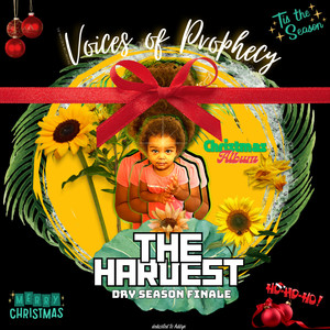 All I Want For Christmas is you