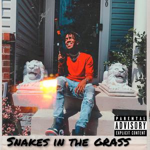 Snakes in the grass (Explicit)