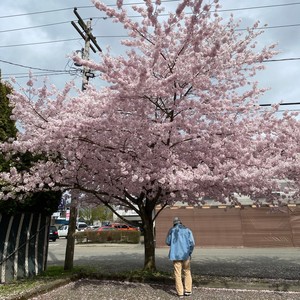 feeling like i can't breathe (Explicit)