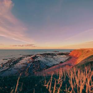 Shores
