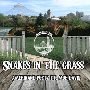 Snakes in the grass (feat. Moe davis) (Explicit)
