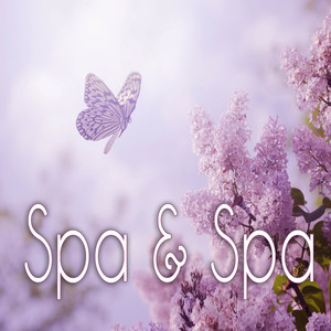 Spa & Spa