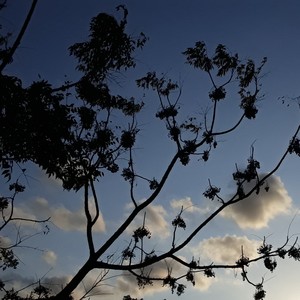 Aeon (feat. PARCA.) (Radio Edit)