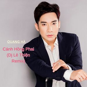 Cánh Hồng Phai (Dj Lê Thiện Remix)