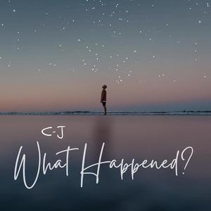 What Happened?