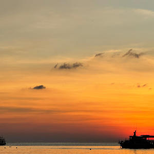 all you need is love