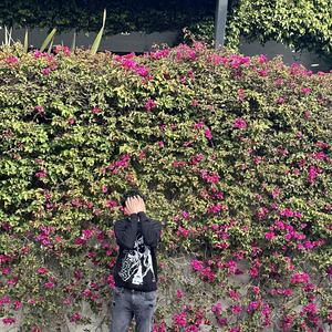 can you feel it? (Explicit)