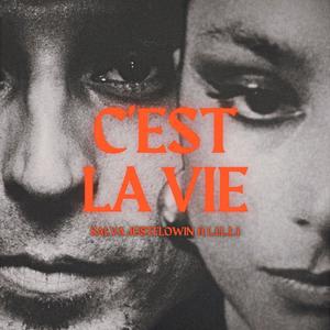 c'est la vie (feat. L.I.L.L.I)