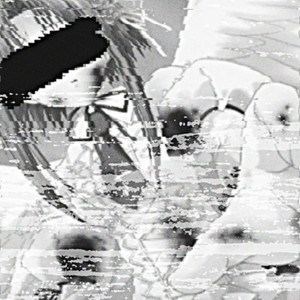 Animestar (Explicit)