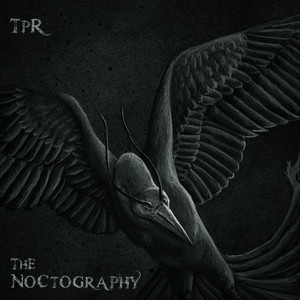 The Noctography