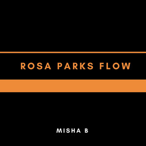 Rosa Parks Flow