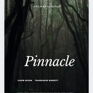 The Pinnacle (feat. B Twizzy) (Explicit)