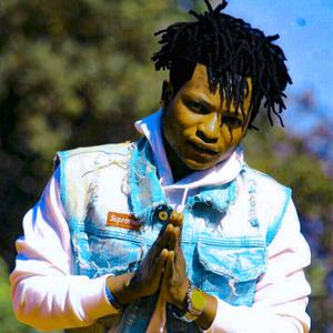 Nijuwe !(feat. Arto, demule & Matson)